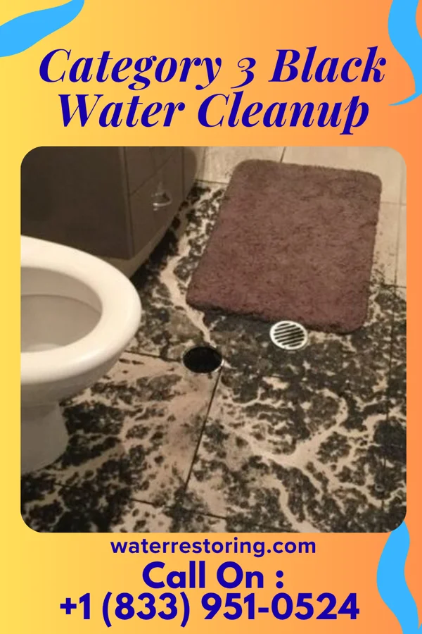 Category 3 Black Water Cleanup in Bloomer, WI