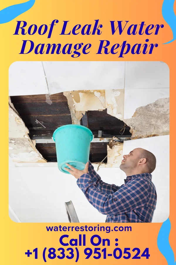 Roof Leak Water Damage Repair in Bloomer, WI