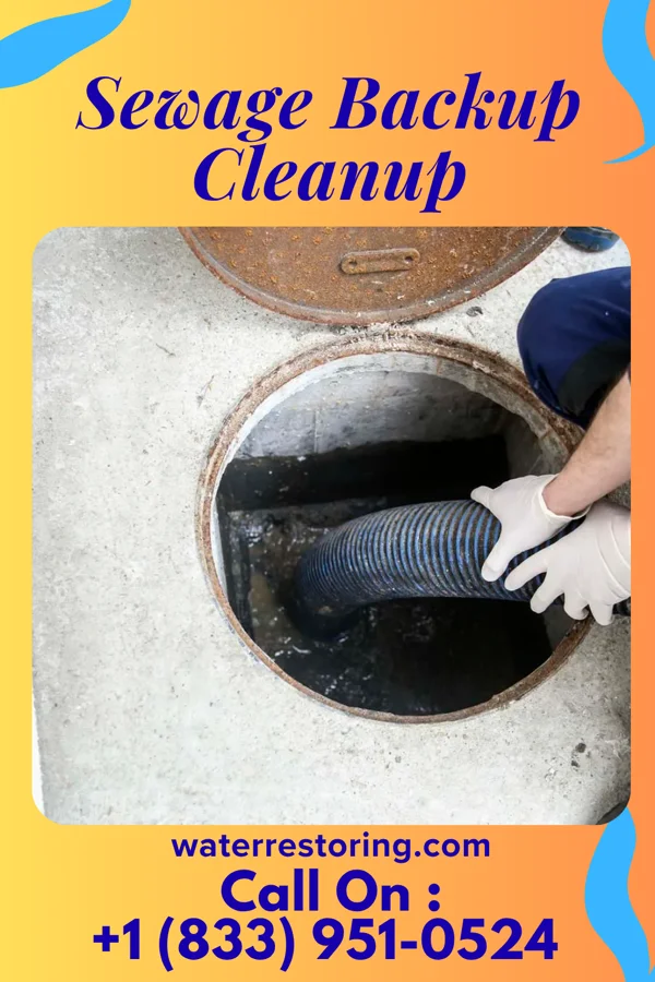 Sewage Backup Cleanup in Bloomer, WI