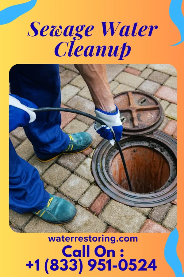 Sewage Water Cleanup in Bloomer, WI